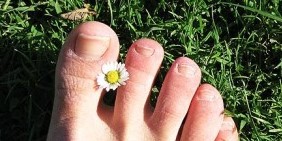 Kërpudhat e toenails